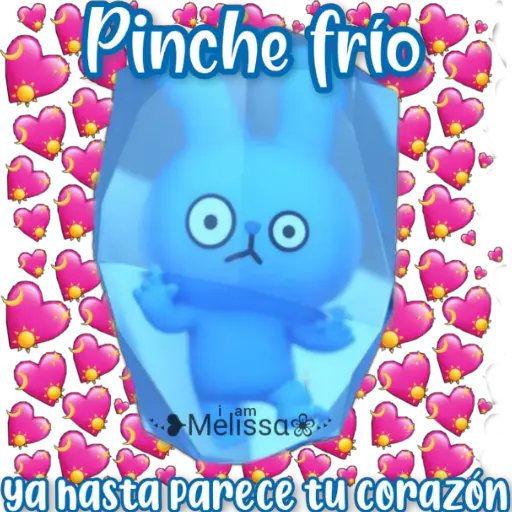🐰Kito Conejo🐰 