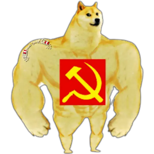 SWOLE VS CHEEMS🐶🐕🇵🇪 