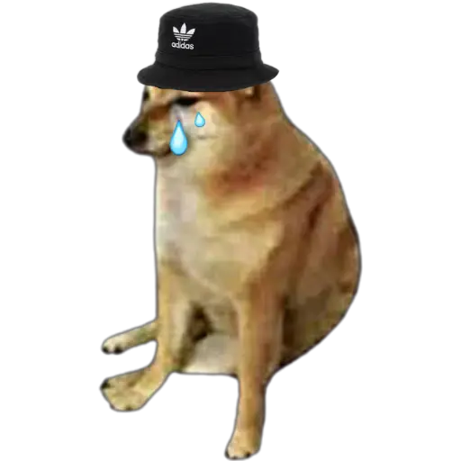 SWOLE VS CHEEMS🐶🐕🇵🇪 