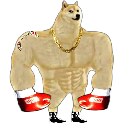 SWOLE VS CHEEMS🐶🐕🇵🇪 