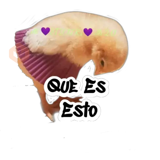 Random (Pollito) sticker 13