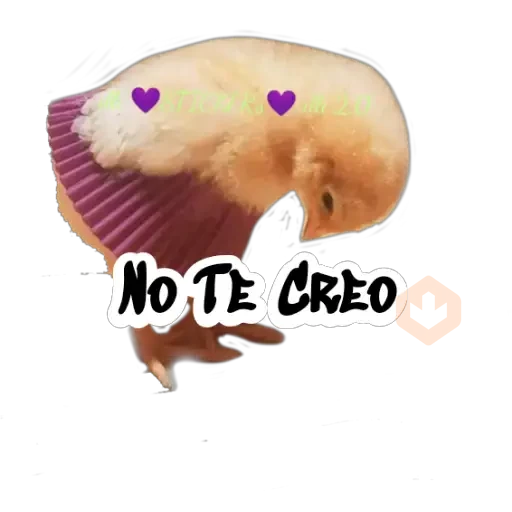 Random (Pollito) sticker 16