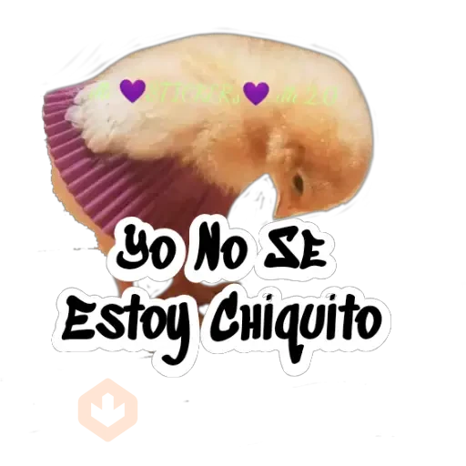 Random (Pollito) sticker 26