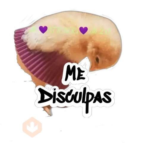 Random (Pollito) sticker 22