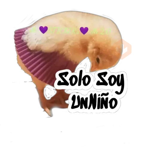 Random (Pollito) sticker 19