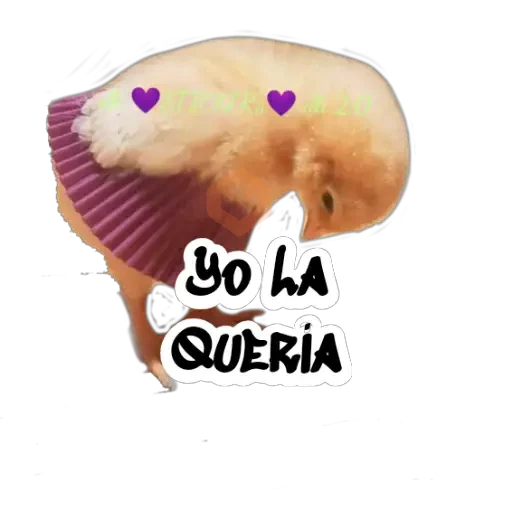 Random (Pollito) sticker 27