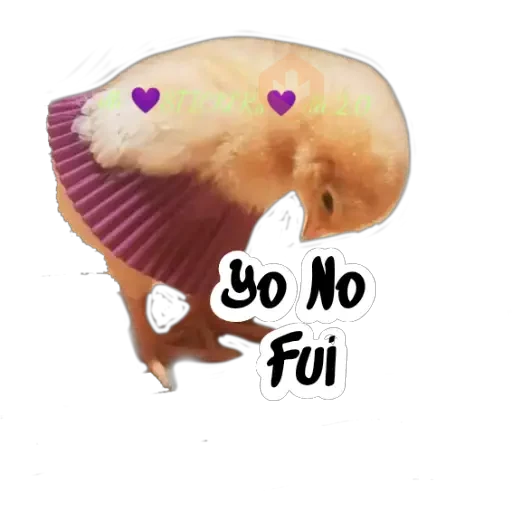 Random (Pollito) sticker 29