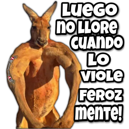 MEMES 001😃🇵🇪 