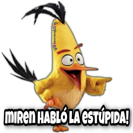 MEMES 001😃🇵🇪 