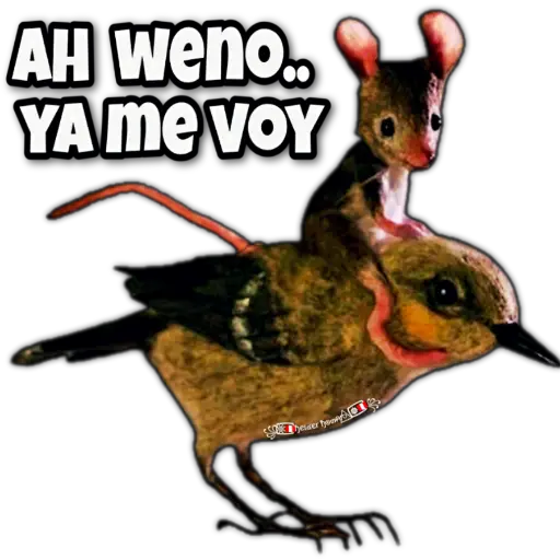 MEMES 001😃🇵🇪 