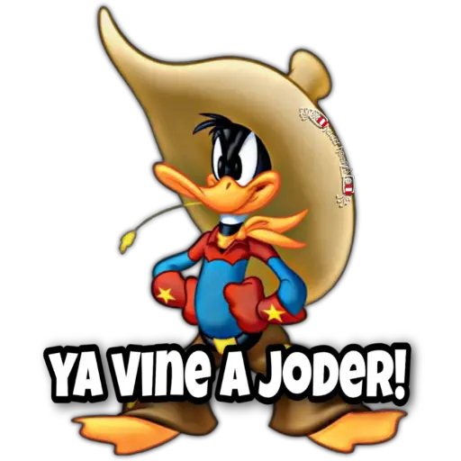 MEMES 001😃🇵🇪 