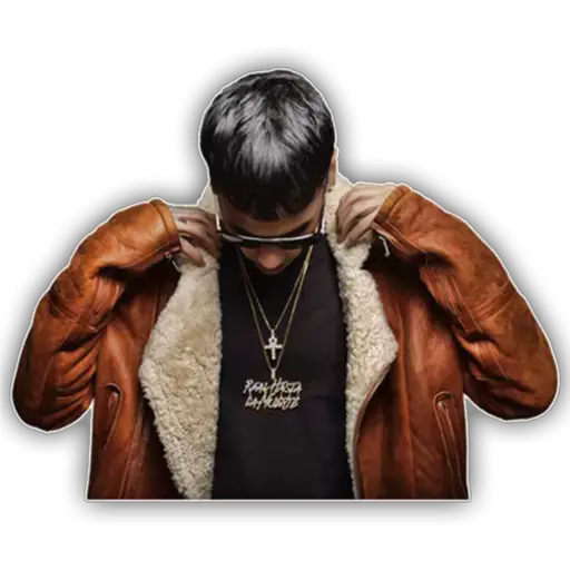 Karol G & Anuel  preview