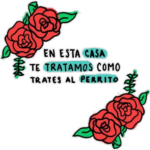 adultos bonitos 💖🙅‍♂️🙅‍♀️ 