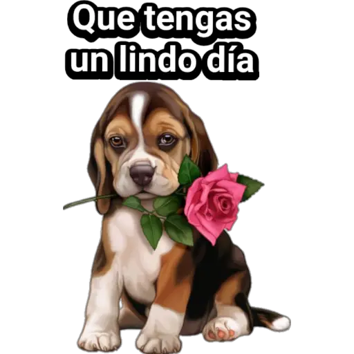 🐕🐩 Cachorros Tiernos 🐶🐾 