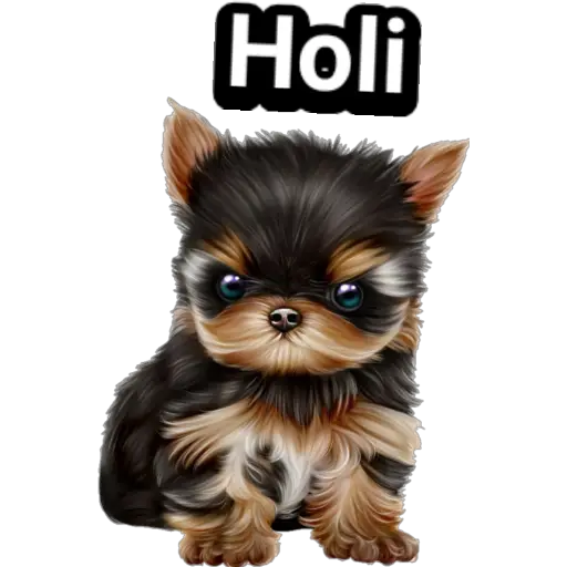 🐕🐩 Cachorros Tiernos 🐶🐾 