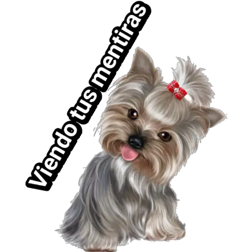 🐕🐩 Cachorros Tiernos 🐶🐾 
