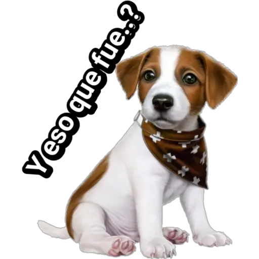 🐕🐩 Cachorros Tiernos 🐶🐾 