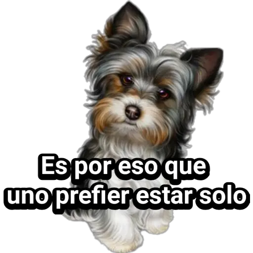 🐕🐩 Cachorros Tiernos 🐶🐾 