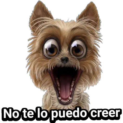 🐕🐩 Cachorros Tiernos 🐶🐾 
