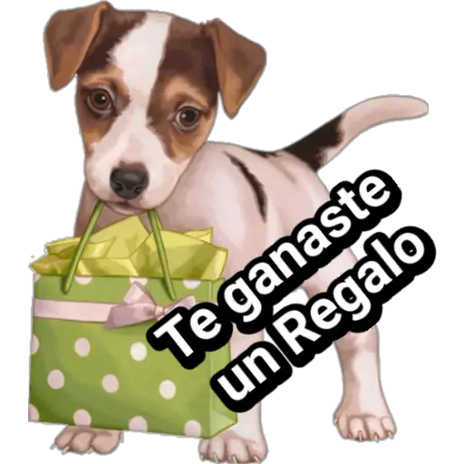 🐕🐩 Cachorros Tiernos 🐶🐾 