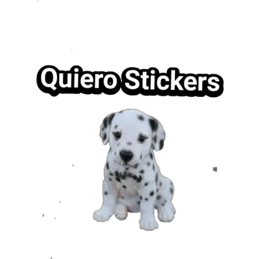 🐕🐩 Cachorros Tiernos 🐶🐾 