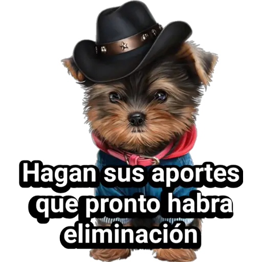 🐕🐩 Cachorros Tiernos 🐶🐾 