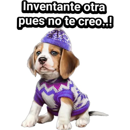 🐕🐩 Cachorros Tiernos 🐶🐾 