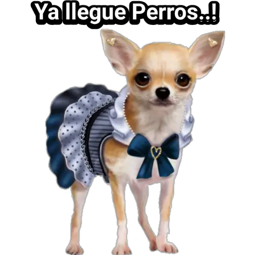 🐕🐩 Cachorros Tiernos 🐶🐾 