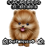 🐕🐩 Cachorros Tiernos 🐶🐾 