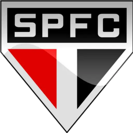 ⚽ Equipo de Futbol Sudamerica preview