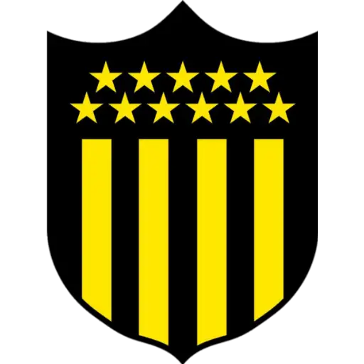 ⚽ Equipo de Futbol Sudamerica