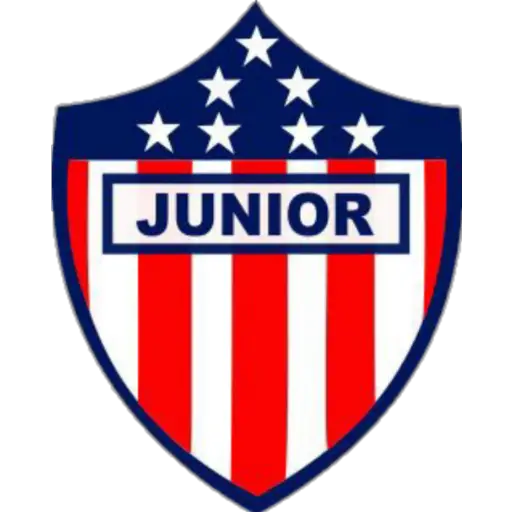 ⚽ Equipo de Futbol Sudamerica