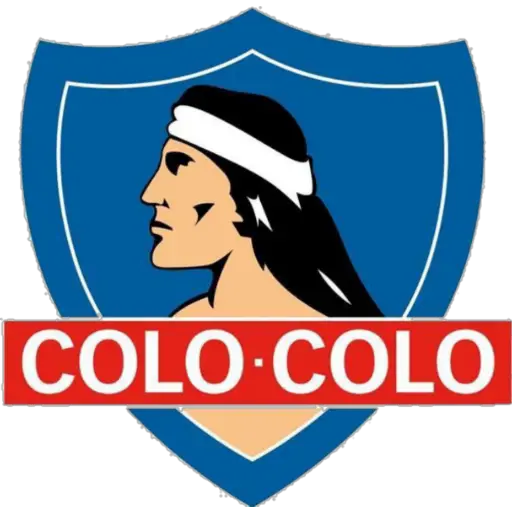 ⚽ Equipo de Futbol Sudamerica