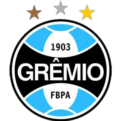 ⚽ Equipo de Futbol Sudamerica