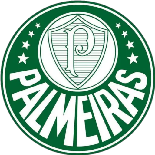 ⚽ Equipo de Futbol Sudamerica