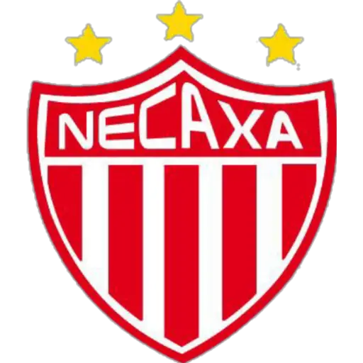 ⚽ Equipo de Futbol Sudamerica preview
