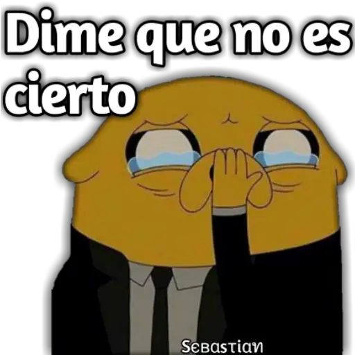 Variados 6 