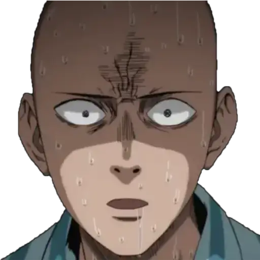 One Punch Man (Anime) 