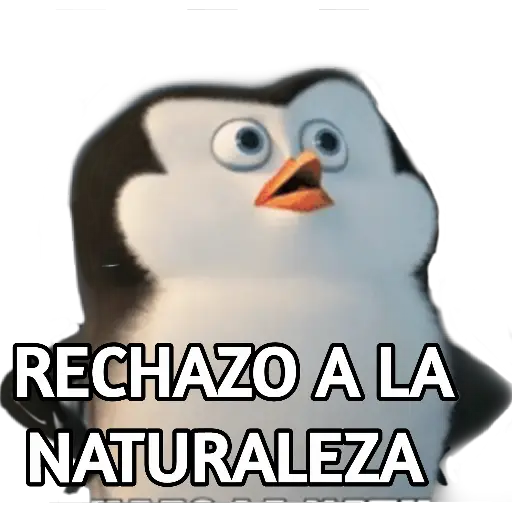 PINGÜINOS DE MADAGASCAR 