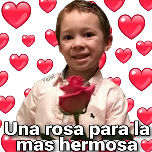 Gavin Thomas Frases✨ 