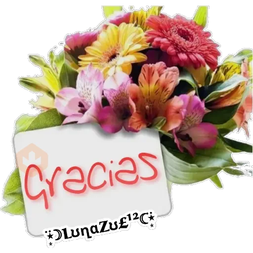 🌙Gracias ☺️ sticker 23