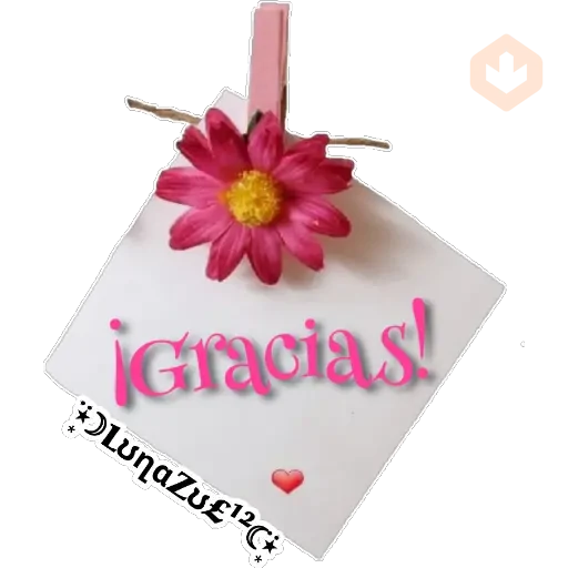 🌙Gracias ☺️ sticker 14