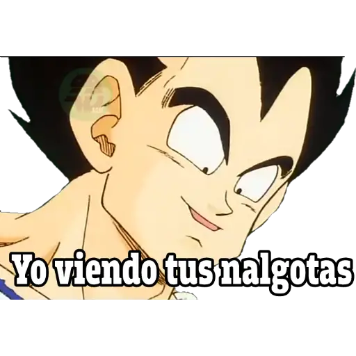 pa los novios dragon ball 