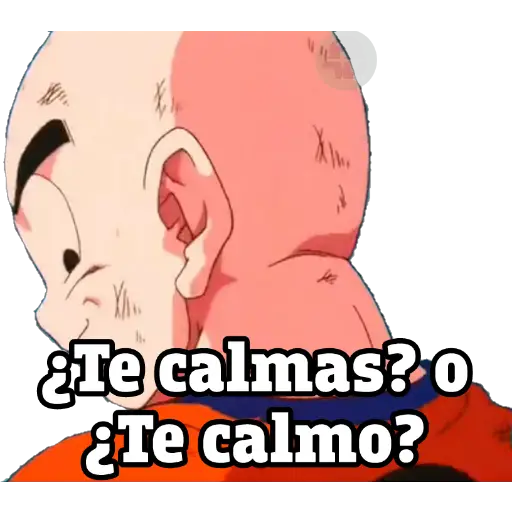 pa los novios dragon ball 
