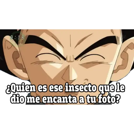 pa los novios dragon ball 