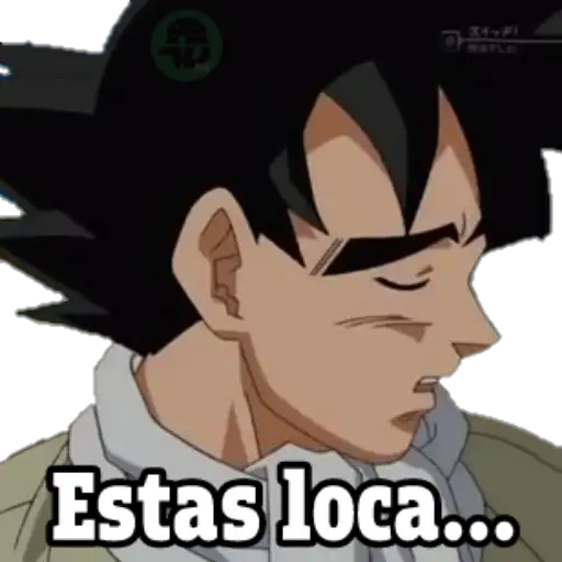 pa los novios dragon ball 