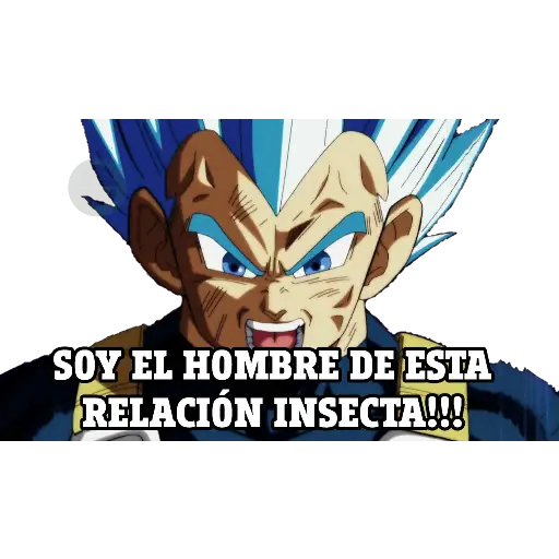 pa los novios dragon ball 