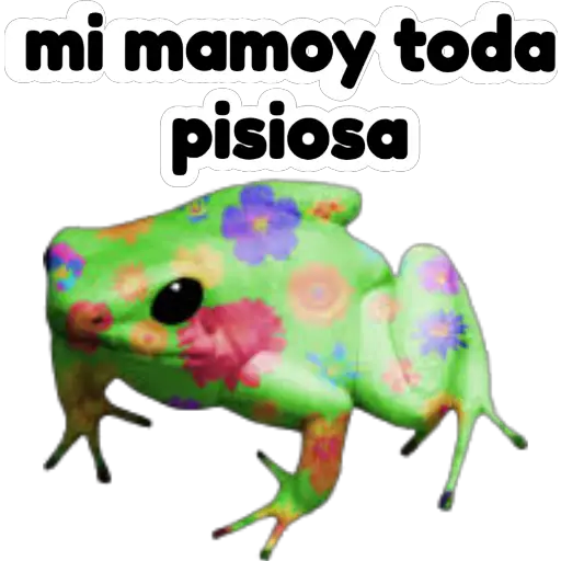 sapos y ranas para my jerrys♡♤ 