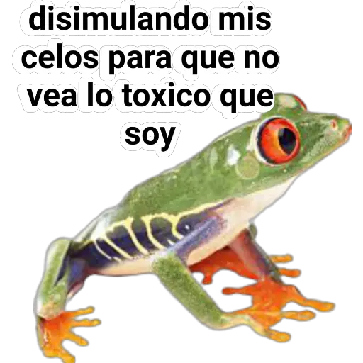 sapos y ranas para my jerrys♡♤ 