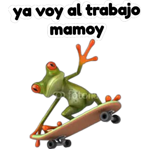 sapos y ranas para my jerrys♡♤ 